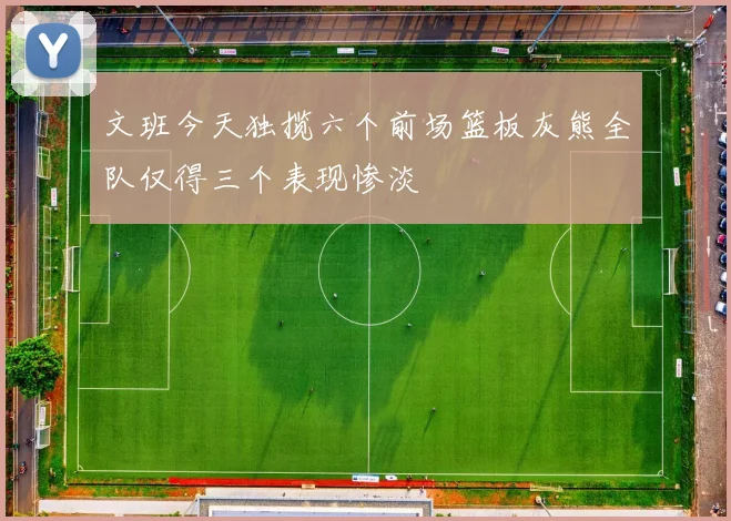 文班今天独揽六个前场篮板灰熊全队仅得三个表现惨淡
