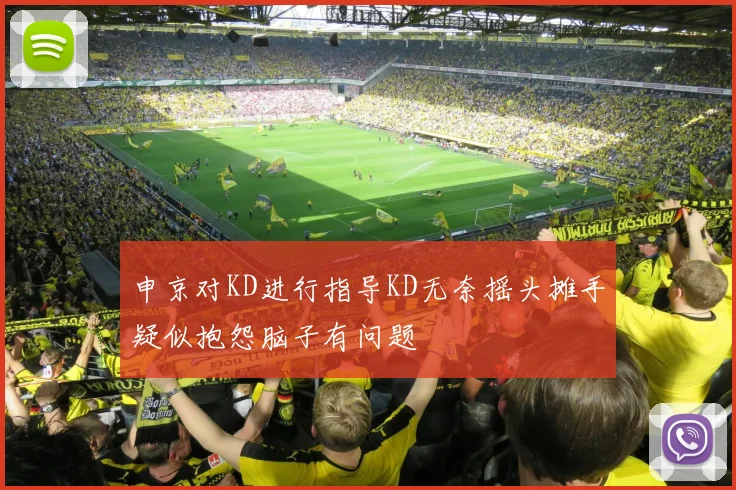 申京对KD进行指导KD无奈摇头摊手疑似抱怨脑子有问题