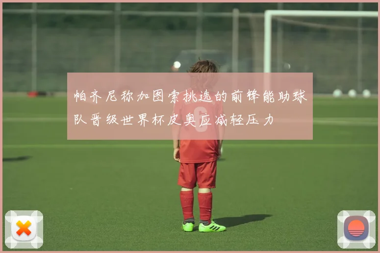 帕齐尼称加图索挑选的前锋能助球队晋级世界杯皮奥应减轻压力