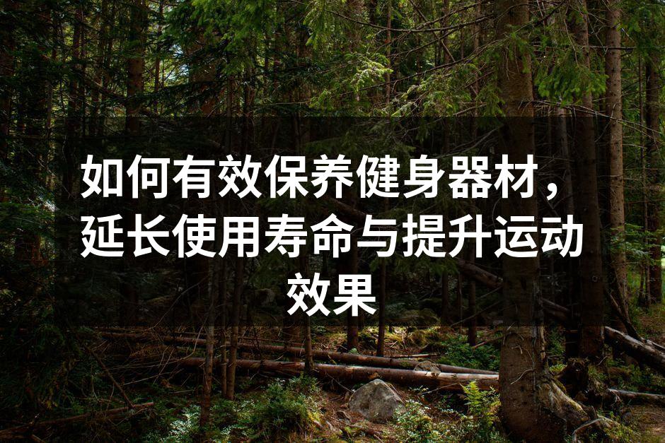 如何有效保养健身器材，延长使用寿命与提升运动效果