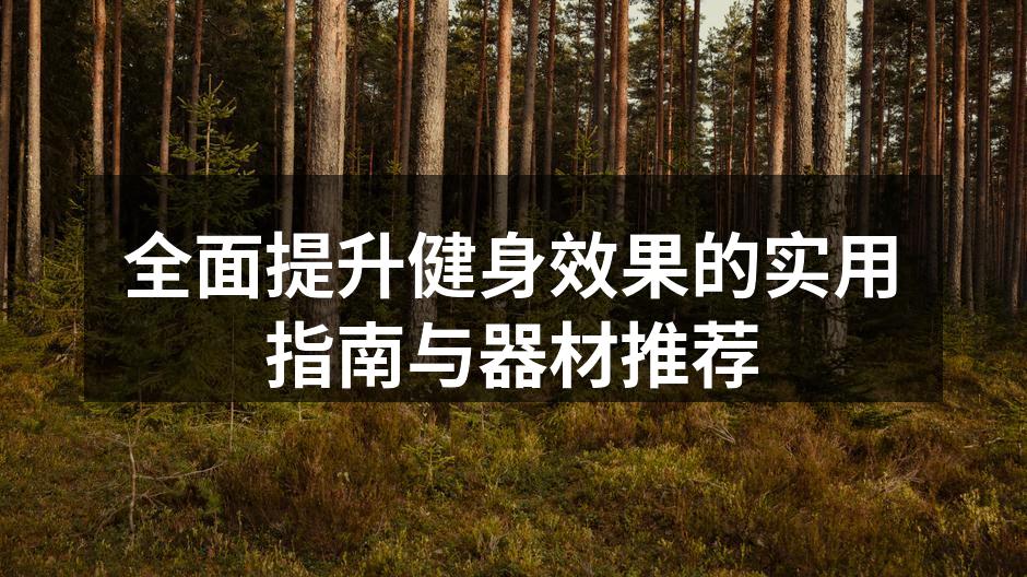 全面提升健身效果的实用指南与器材推荐