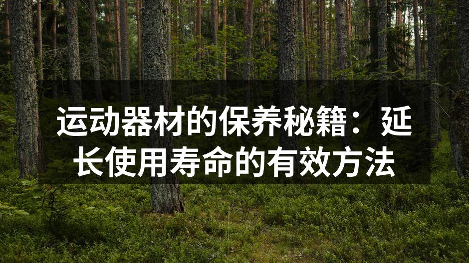 运动器材的保养秘籍：延长使用寿命的有效方法